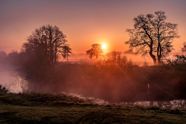 Increíble bosque y la puesta de sol