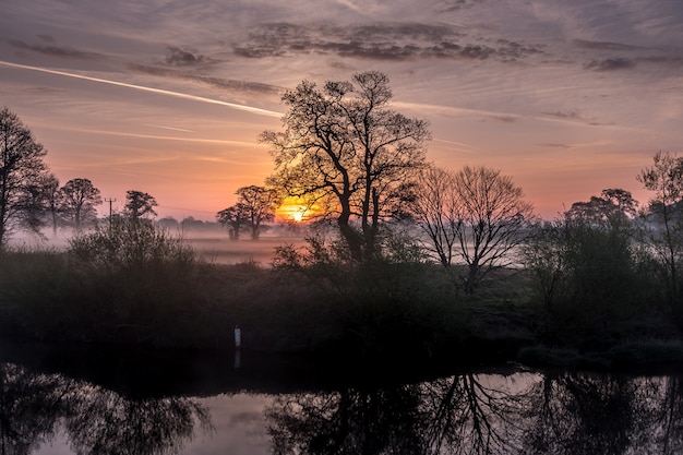 Foto gratuita increíble bosque y la puesta de sol