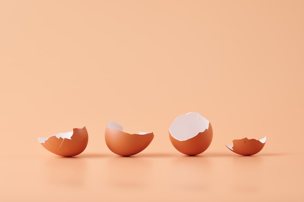 Increíble foto de cáscaras de huevo aisladas en naranja