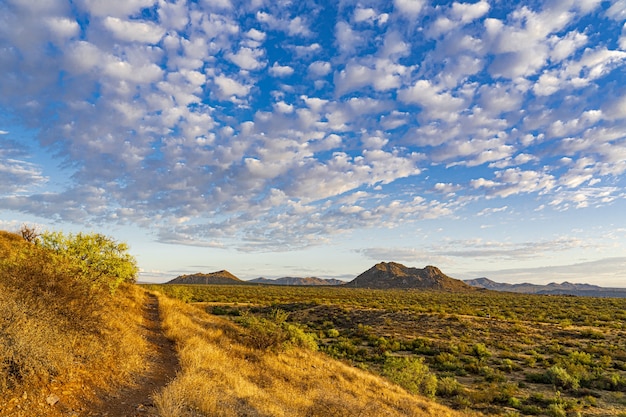 Increíble foto de una hermosa pradera con majestuosas montañas en la superficie