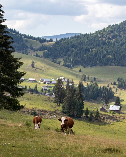 Increíble foto de un pequeño pueblo en un increíble paisaje de montaña en Transilvania, Rumania