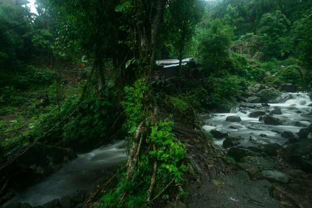 Foto gratuita increíble foto de un río rodeado de hermosa naturaleza.