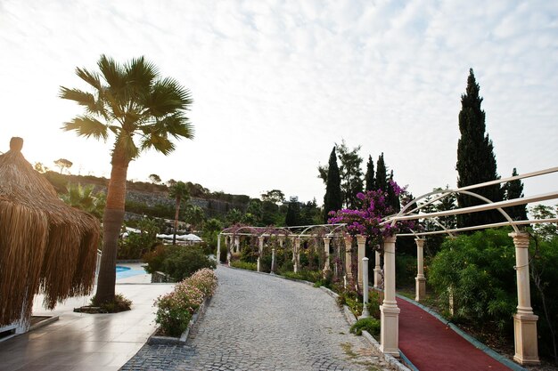 Increíbles jardines con arco de flores y palmeras de hotel de lujo al atardecer en Bodrum Turquía