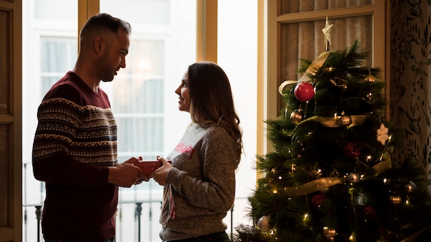 Foto gratuita individuo que presenta el regalo y que mira a la señora cerca del árbol de navidad