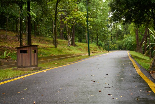 el infinito naturaleza vacía tropical húmedo