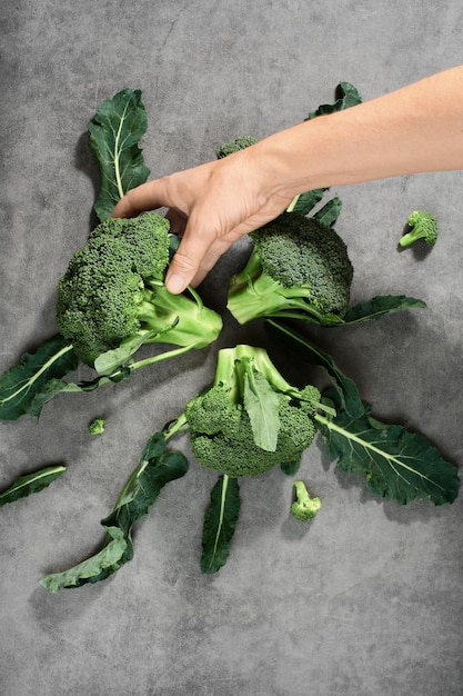 Las inflorescencias de brócoli se colocan sobre un fondo gris, vista superior. La mano del chef toma un repollo para cocinar la cena. Productos vegetales saludables, entrega de alimentos desde granjas.