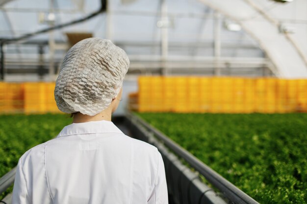 Foto gratuita ingeniera de biotecnología examinando plantas para detectar enfermedades