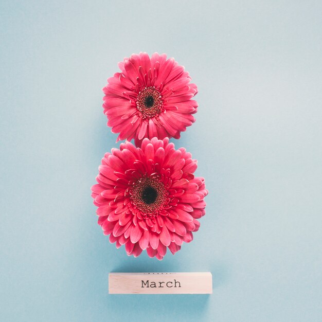Inscripción del 8 de marzo con flores de gerbera.