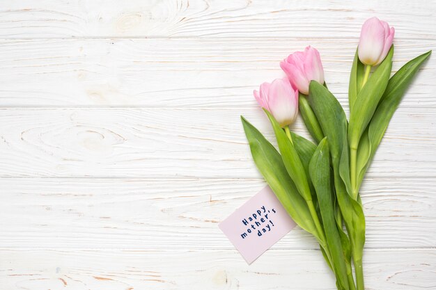 Inscripción de feliz dia de las madres con tulipanes