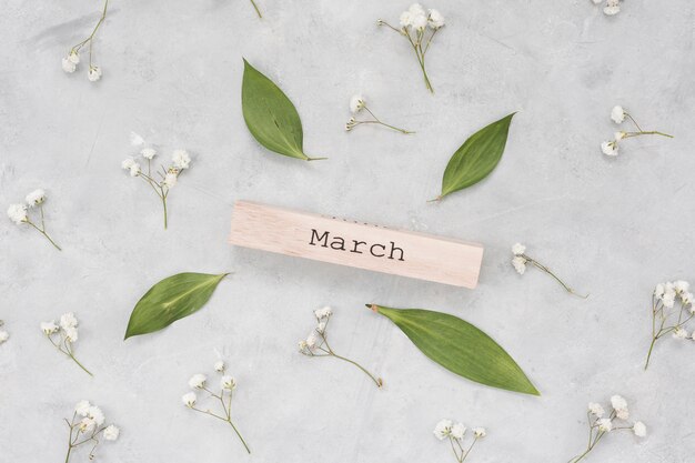 Foto gratuita inscripción de marzo con hojas y ramas de flores.