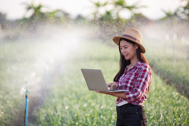 Inspección de calidad de jardines aromáticos por agricultores.