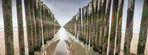 Instalaciones rompe olas de madera en el Mar del Norte, Zelanda, Países Bajos