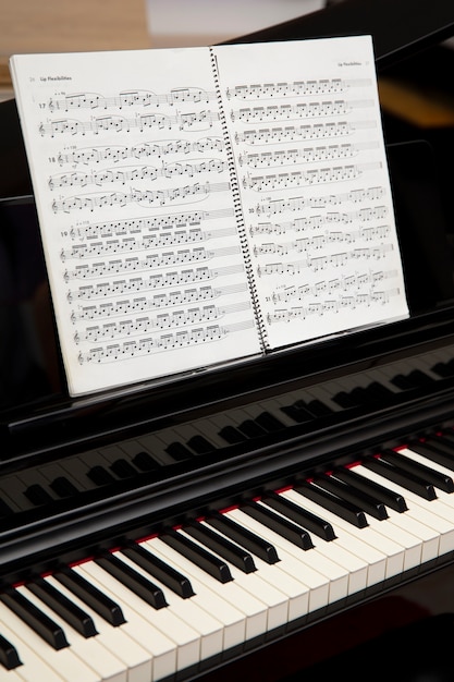 Instrumento musical en la tienda.