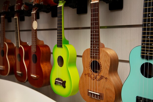 Instrumento musical en la tienda.