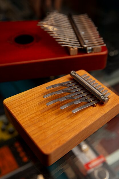 Instrumento musical en la tienda.