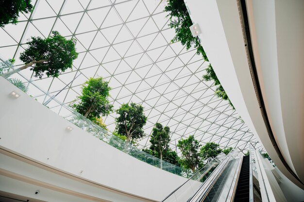 interior de un aeropuerto con ventanas