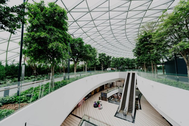 interior de un aeropuerto con ventanas