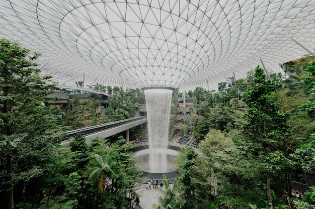 Interior de un jardín botánico con plantas y agua.