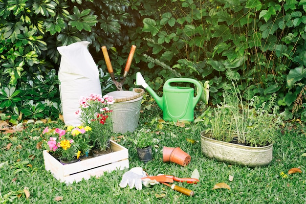 Inventario de jardinería con macetas sobre hierba.