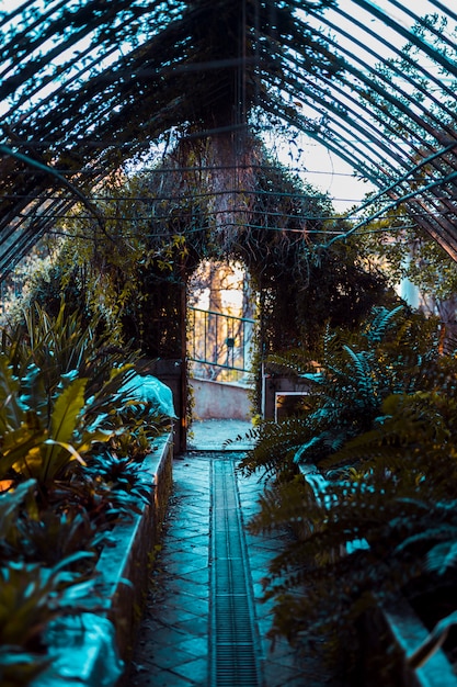 Invernadero con plantas botánicas