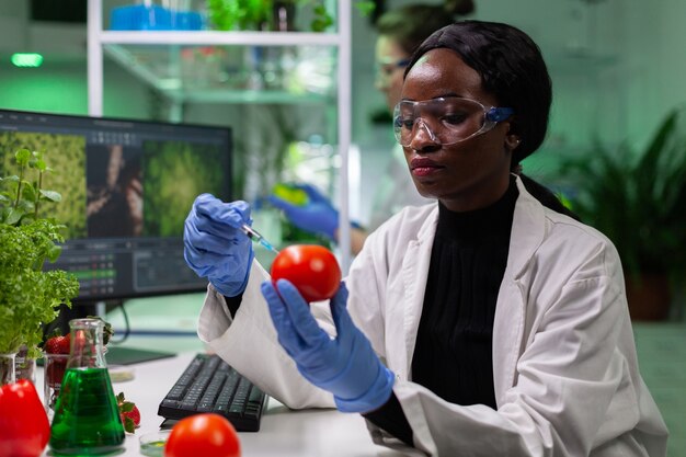 Investigador biólogo afroamericano con guantes médicos inyectando tomate orgánico