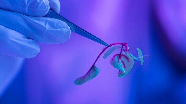 Investigador en el laboratorio de biotecnología con planta