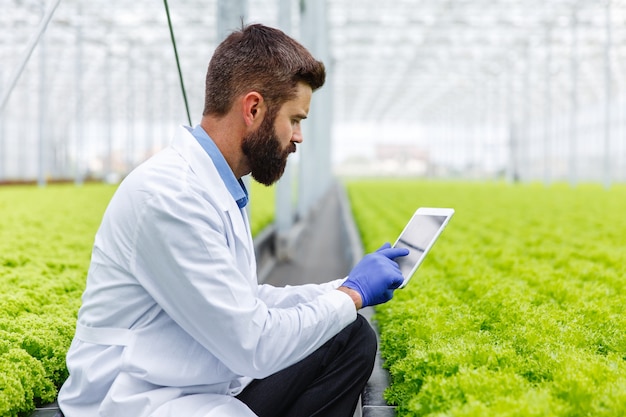 Investigador masculino barbudo estudia plantas con una tableta de pie en el invernadero