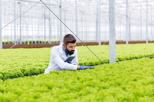 Investigador masculino barbudo estudia plantas con una tableta de pie en el invernadero