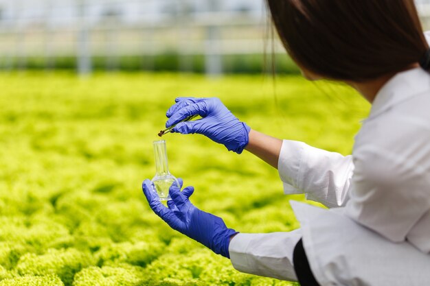 Investigador toma una sonda de vegetación en un matraz de fondo redondo