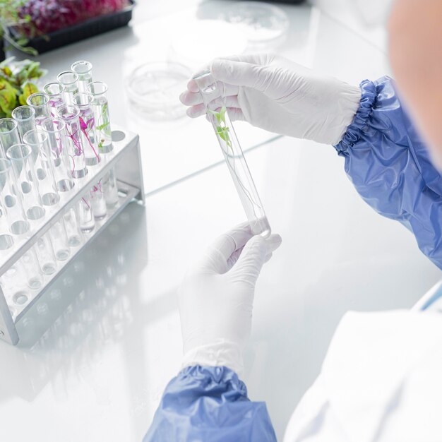 Investigador con tubos de ensayo en el laboratorio de biotecnología