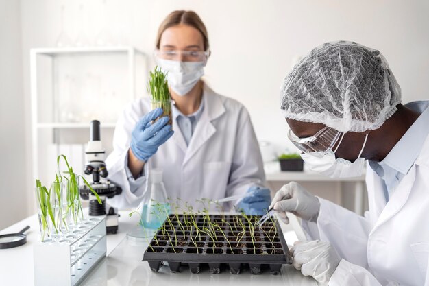 Investigadores de cerca con plantas.