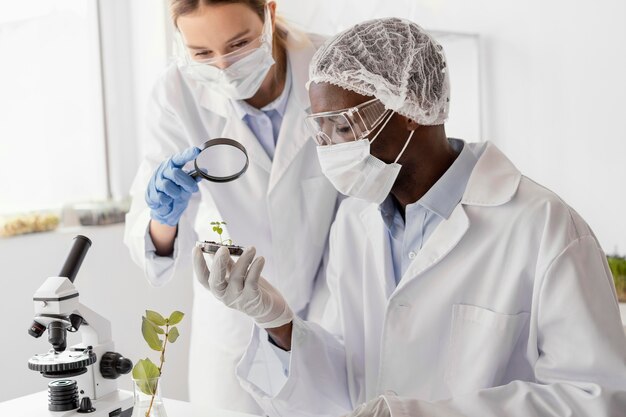 Investigadores de plano medio con planta