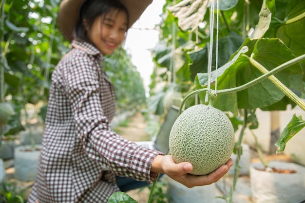 Los investigadores de plantas están comprobando los efectos del melón.