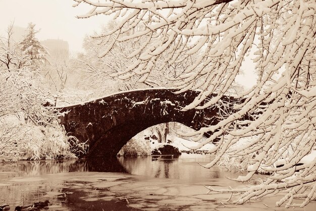 Invierno de Central Park con puente de piedra en el centro de Manhattan, Nueva York