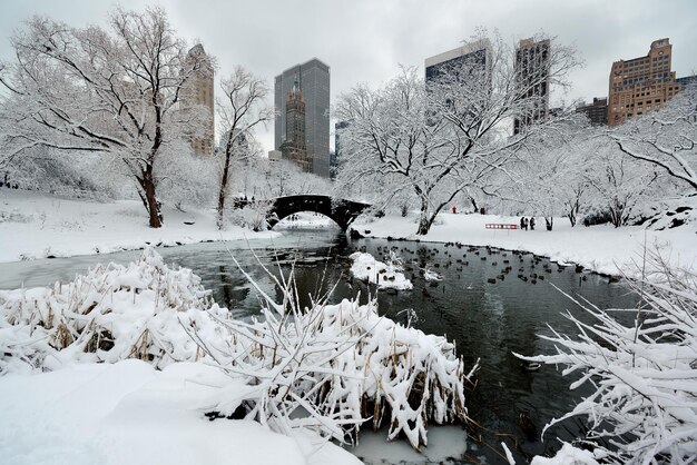 Invierno de Central Park con rascacielos y puente en el centro de Manhattan, Nueva York