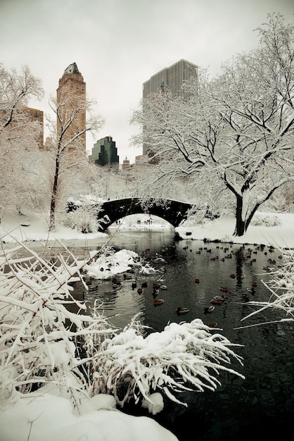 Invierno de Central Park con rascacielos y puente en el centro de Manhattan, Nueva York