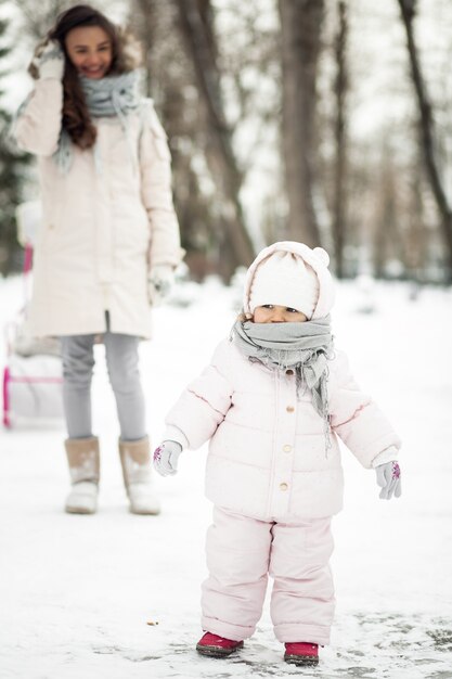 Invierno, paseo, diversión, feliz, familia