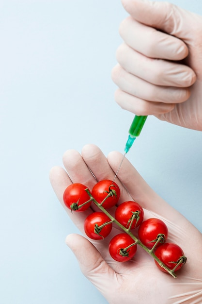 Foto gratuita inyectando tomates cherry con productos químicos