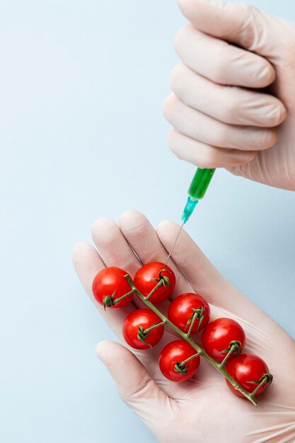 Inyectando tomates cherry con productos químicos