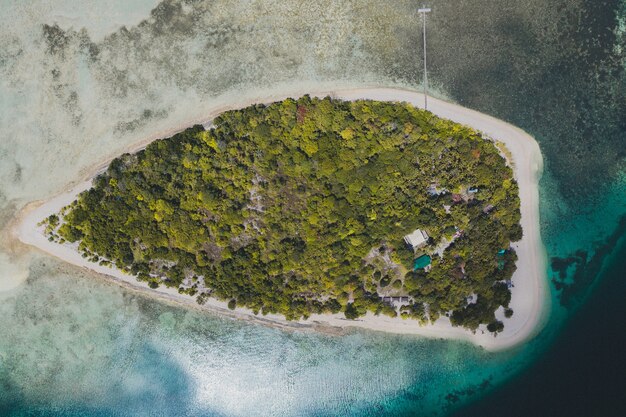 Isla cubierta de árboles y vegetación rodeada por el océano.