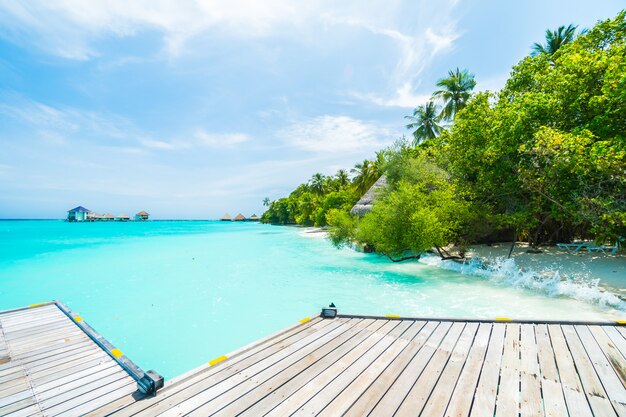 Isla de Maldivas