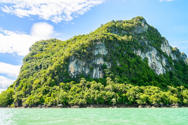 Isla rodeada de vegetación