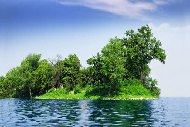 Isla verde con árboles