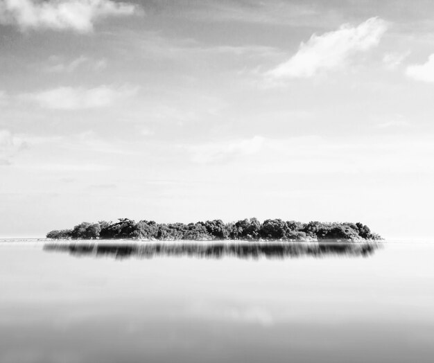 Isla vista desde lejos en blanco y negro