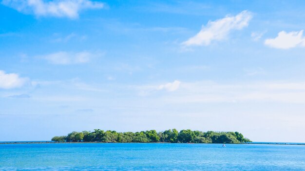 Isla vista desde lejos