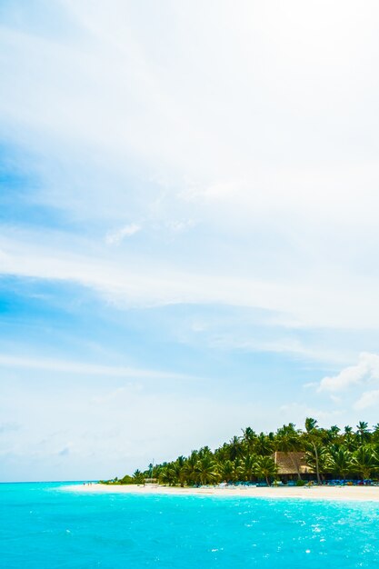 islas maldivas vacaciones vacaciones árbol