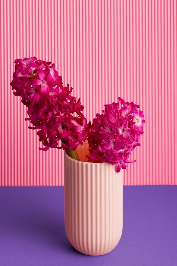 Foto gratuito jacinto hermoso de alto ángulo en florero