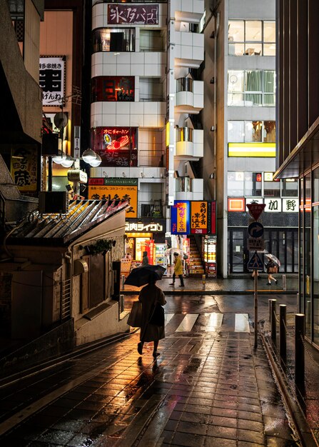 Japón firma paisaje urbano