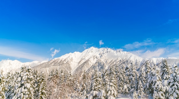 Japón montaña de invierno con nieve cubierto