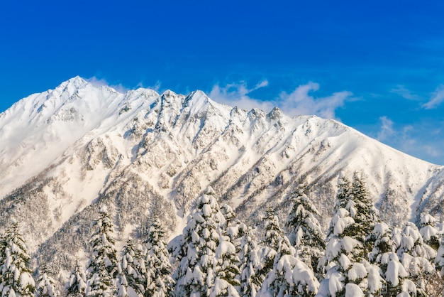 Foto gratuita japón montaña de invierno con nieve cubierto